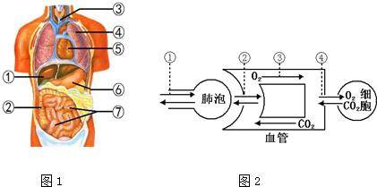 人体瞬间气化的原理图片