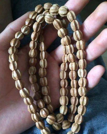农村让人避而远之的楝豆子被文玩人做成手串当宝贝成品美呆了