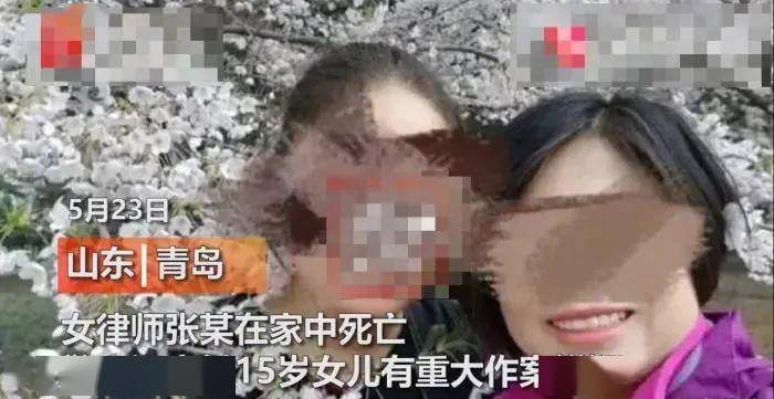 45岁女律师被15岁女儿勒死,遗体装进行李箱:孩子曾在学校说,想杀了