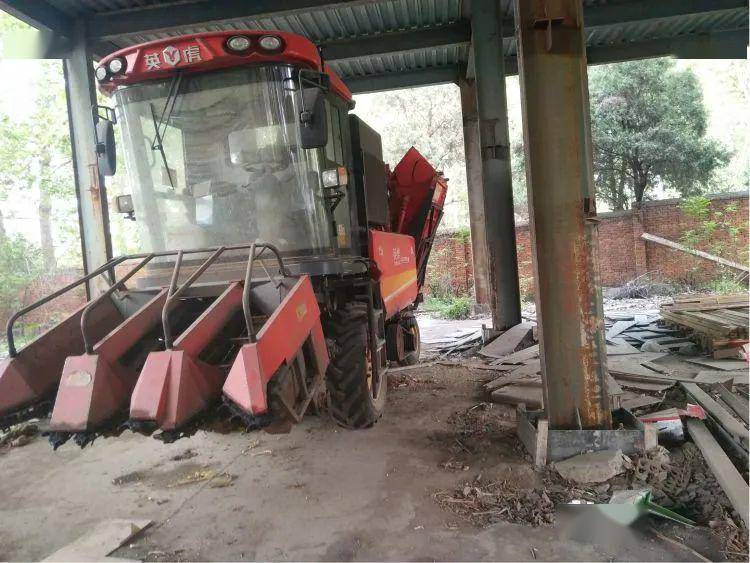 9.2万出售英虎3行玉米收割机