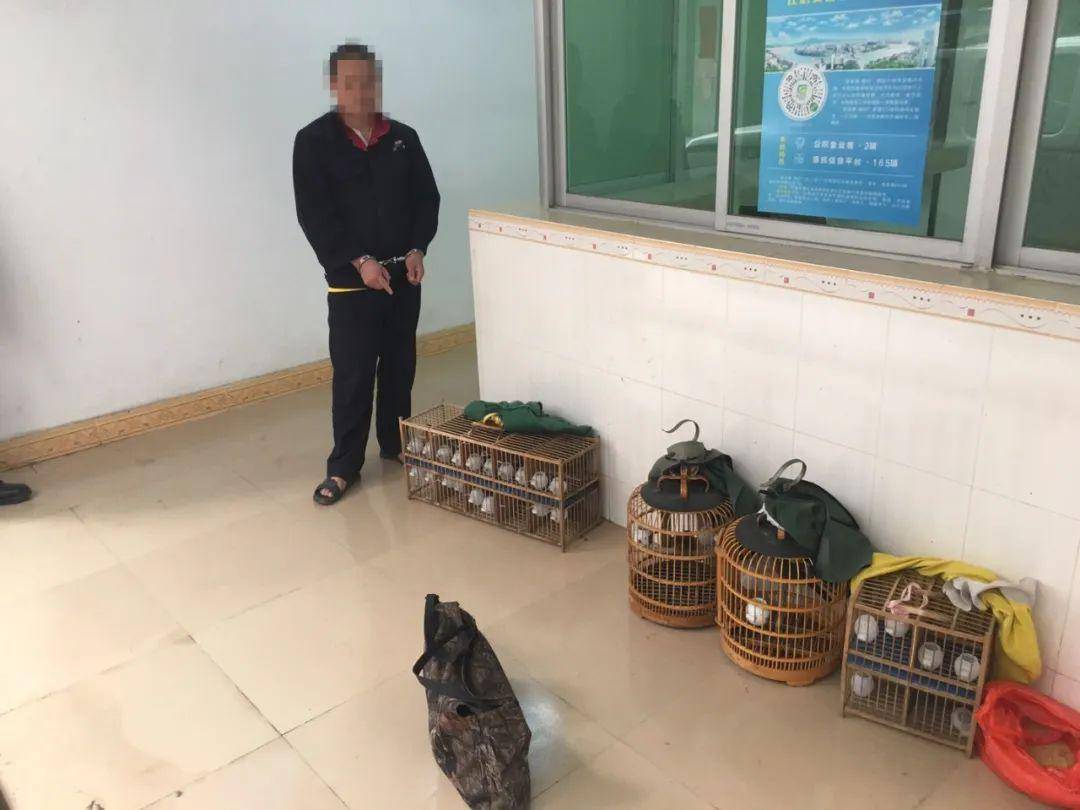 全新款捕猎机图片