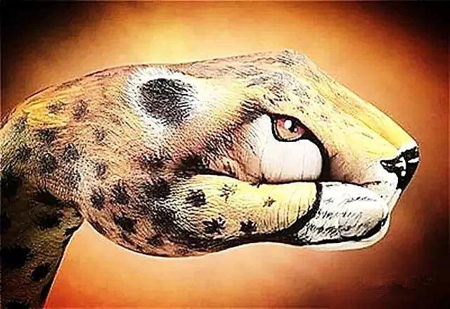 我们大都不想再去审视它所有的假内行 都是靠唬弄真外行来混饭吃的