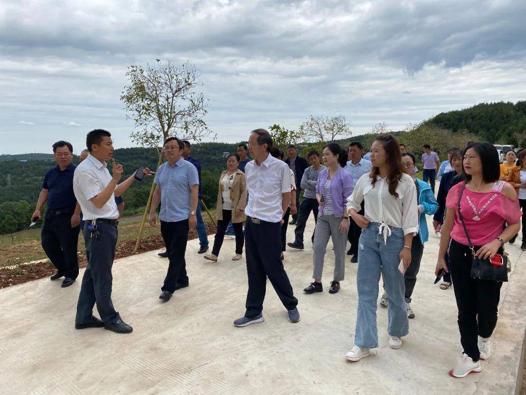 學習考察組先後考察了蒼溪縣五龍鎮三會村的陣地建設,產業發展,新村