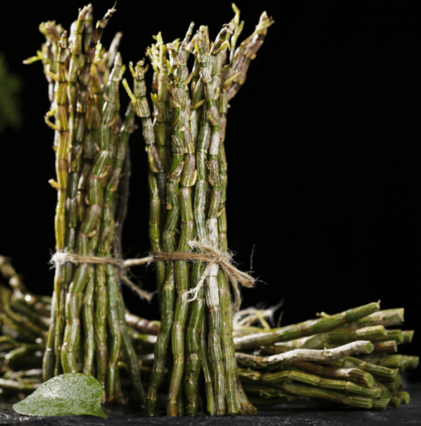 黑酒新潮黑潮小酒品鉴会将选择权交给年轻人