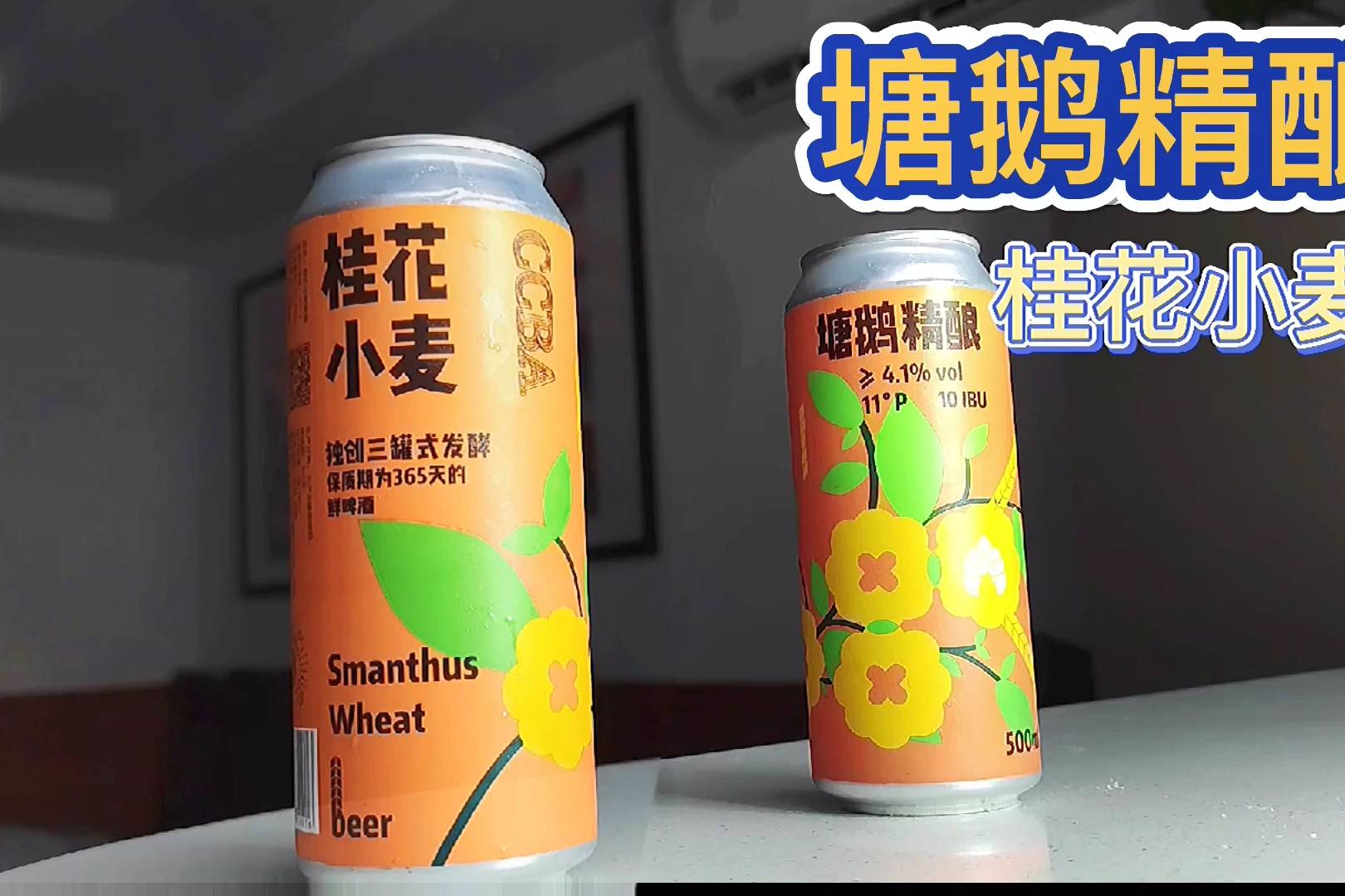 啤酒计划塘鹅精酿桂花小麦犹如少女的玉手轻柔的抚摸你的味蕾