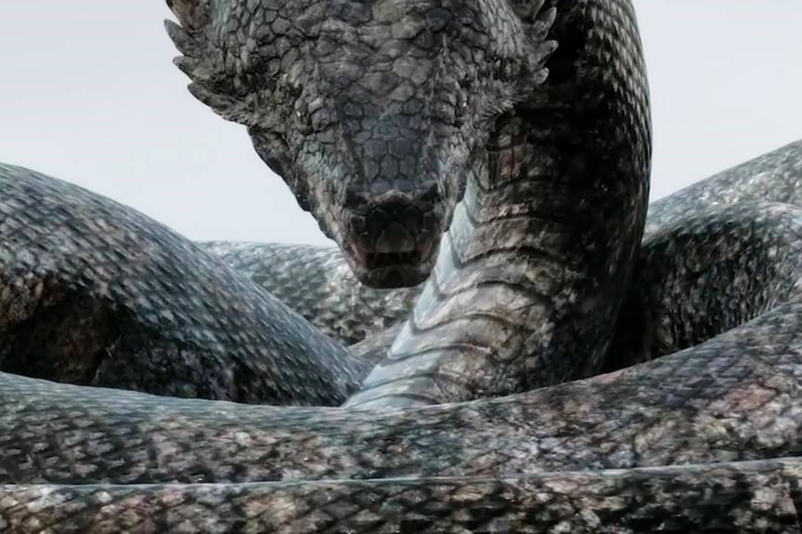 大蛇2人的眼睛是黑的心是红的但眼睛一红心就黑了