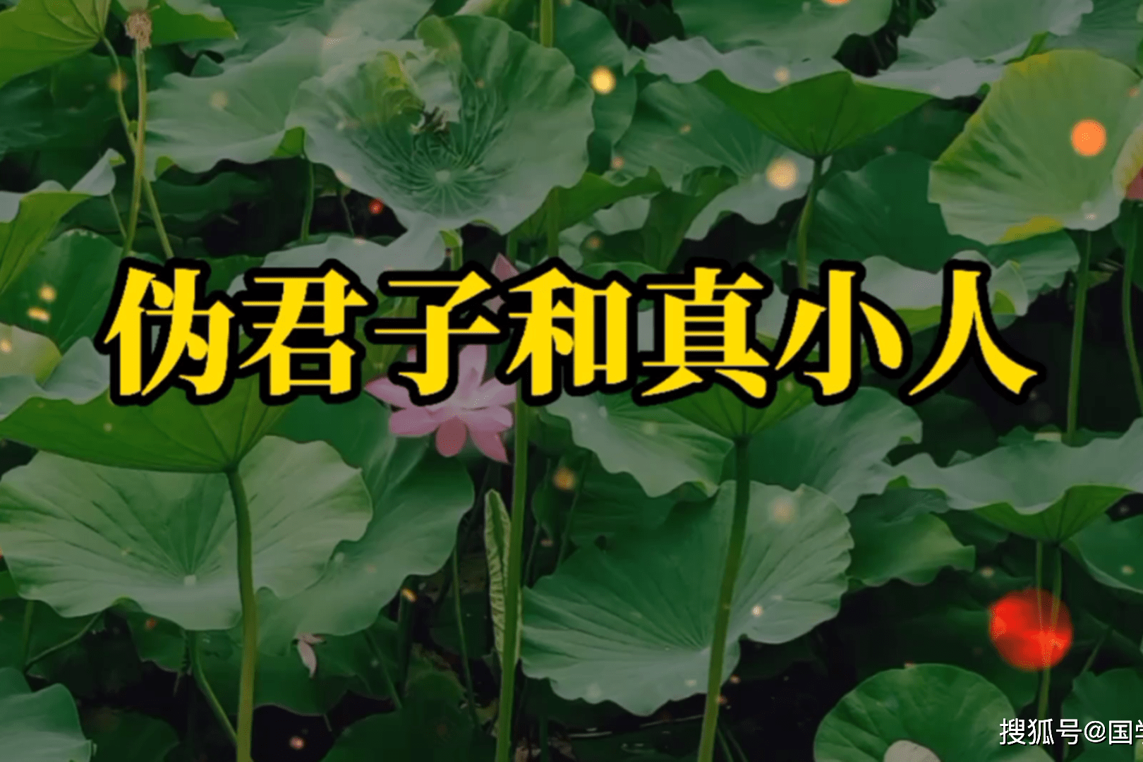 真小人和伪君子有什么区别