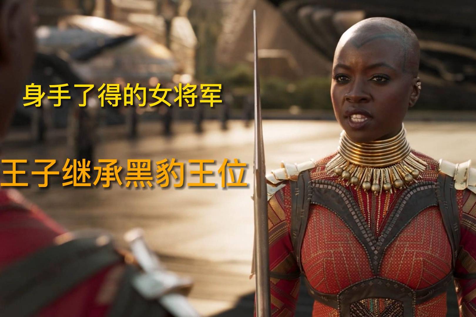 天上掉馅饼王子继承黑豹王位女将军全力辅助