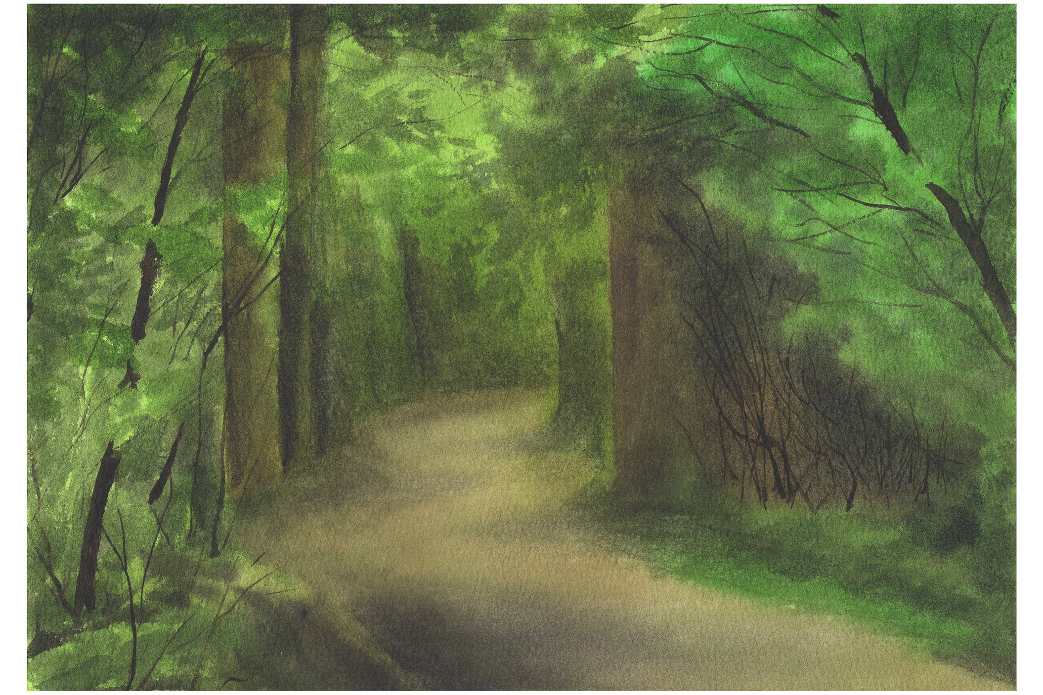 林间小路水彩图片