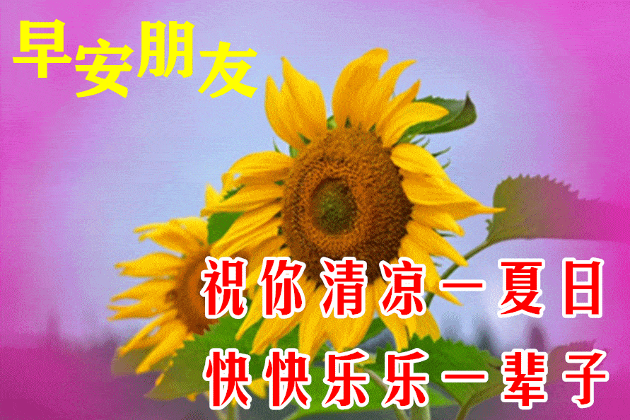 周一最吉祥真诚的早安祝福语大全 愿你新的一周天天好心情 生活工作都舒心 问候