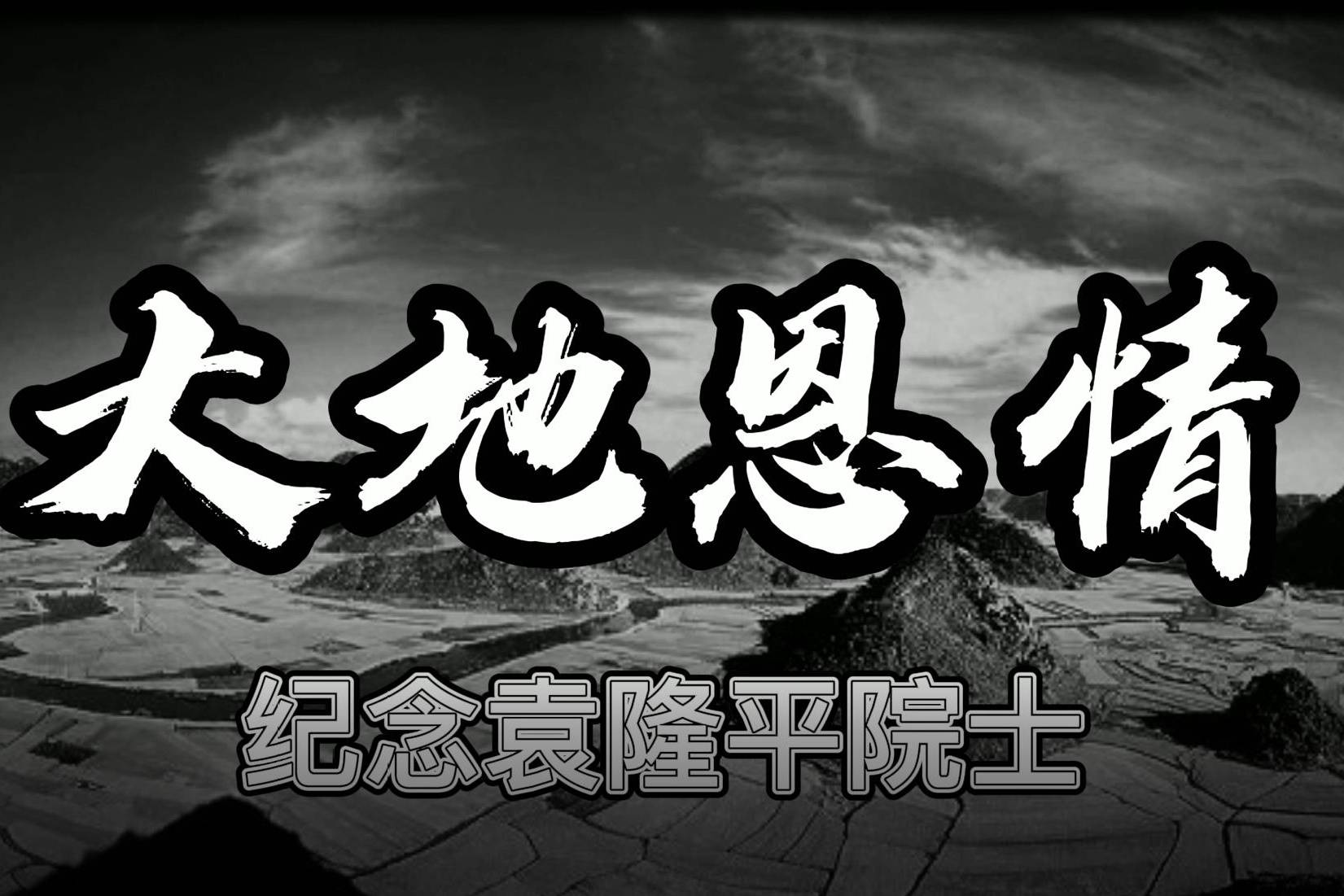 大地之子袁隆平