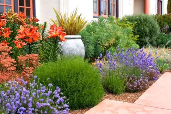 壹生造园花园设计景观美学分享一组英式花镜图