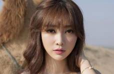 苏宁易购及湘财证券“深陷”云南信托索赔案：涉