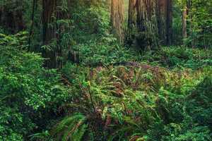 图片[164]-洛克菲勒：世界上只有一种人会成为富人 - 如意-如意