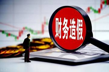 罗普特IPO风波：财务造假被揭 保荐人国金证