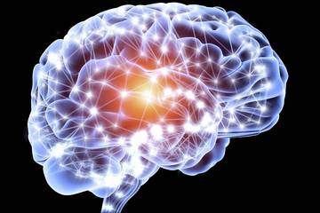 大脑如何储存长期记忆、检索回忆、做决策？这些大脑的运行机制值得AI学习