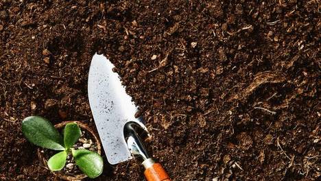 木居易学堂的个人主页