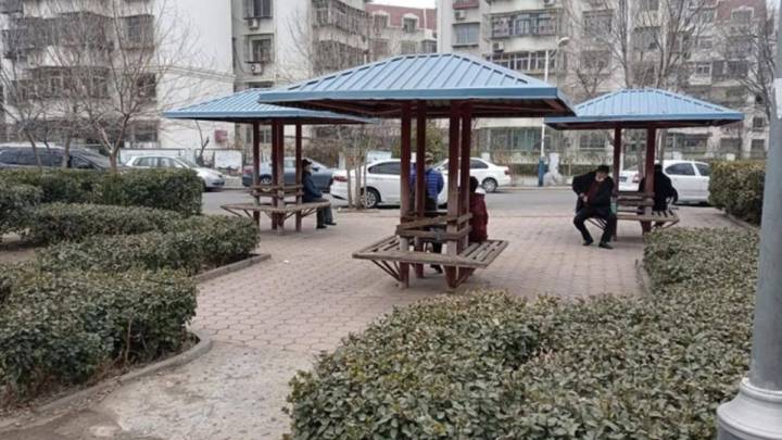 网格员张喆涉嫌严重违法，应该开除公职吗？