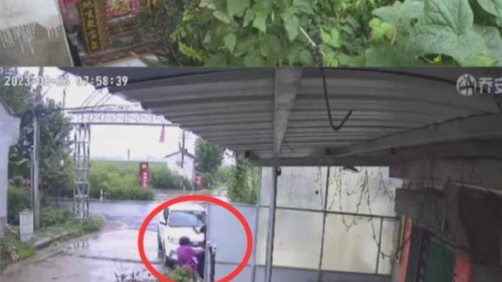 文旅局干部因口角踹倒六旬女邻居致骨折，应该追究其责任吗？