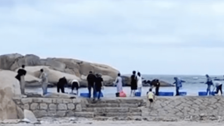 广东汕尾多人放生60多箱矿泉水，是浪费水资源，破坏环境的行为吗？