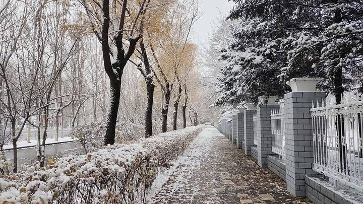 黑龙江、吉林启动暴雪应急响应，你那里有大到暴雪吗？