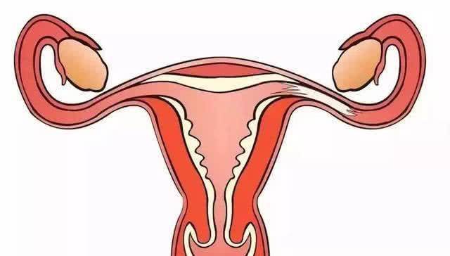 孕育科普宫腔粘连的主要原因和表现是什么