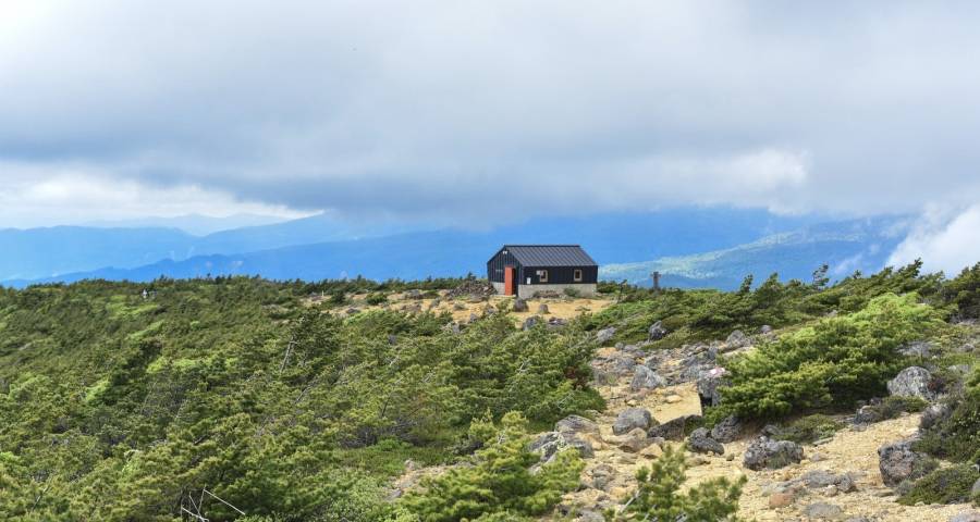 今年新一轮渠道变革背后隐藏的家电红利-家电圈官网