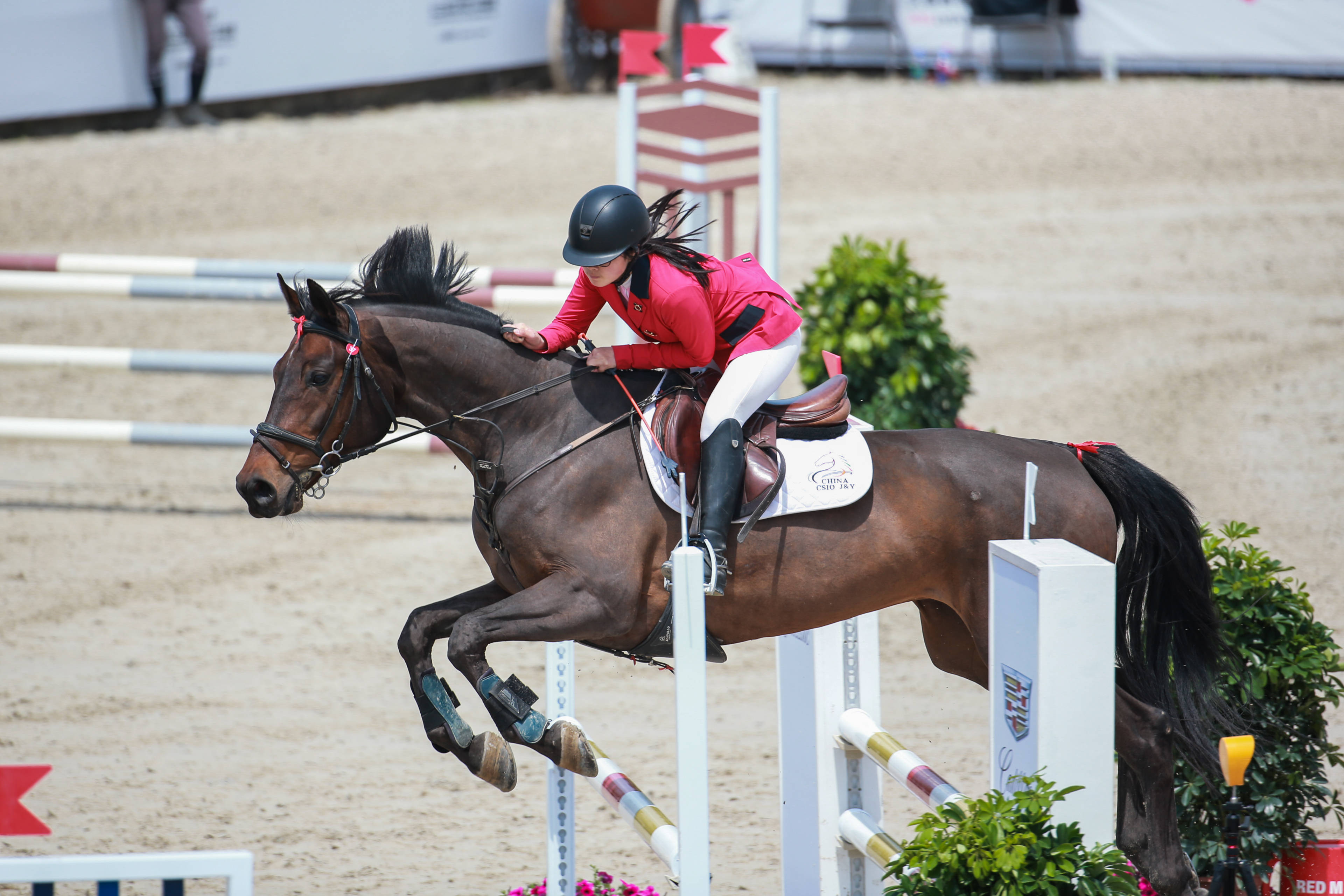 组图:长三角马术青少年联赛100cm级别精彩瞬间