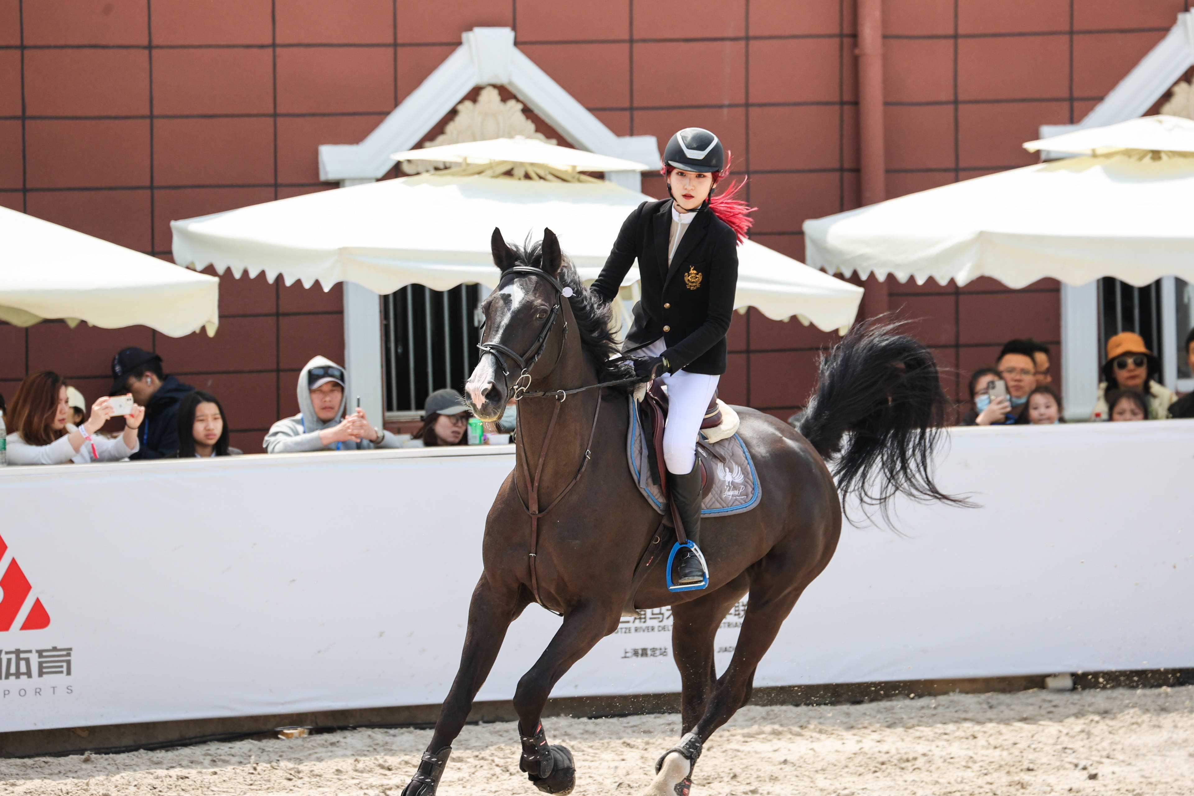 组图:长三角马术青少年联赛100cm级别精彩瞬间