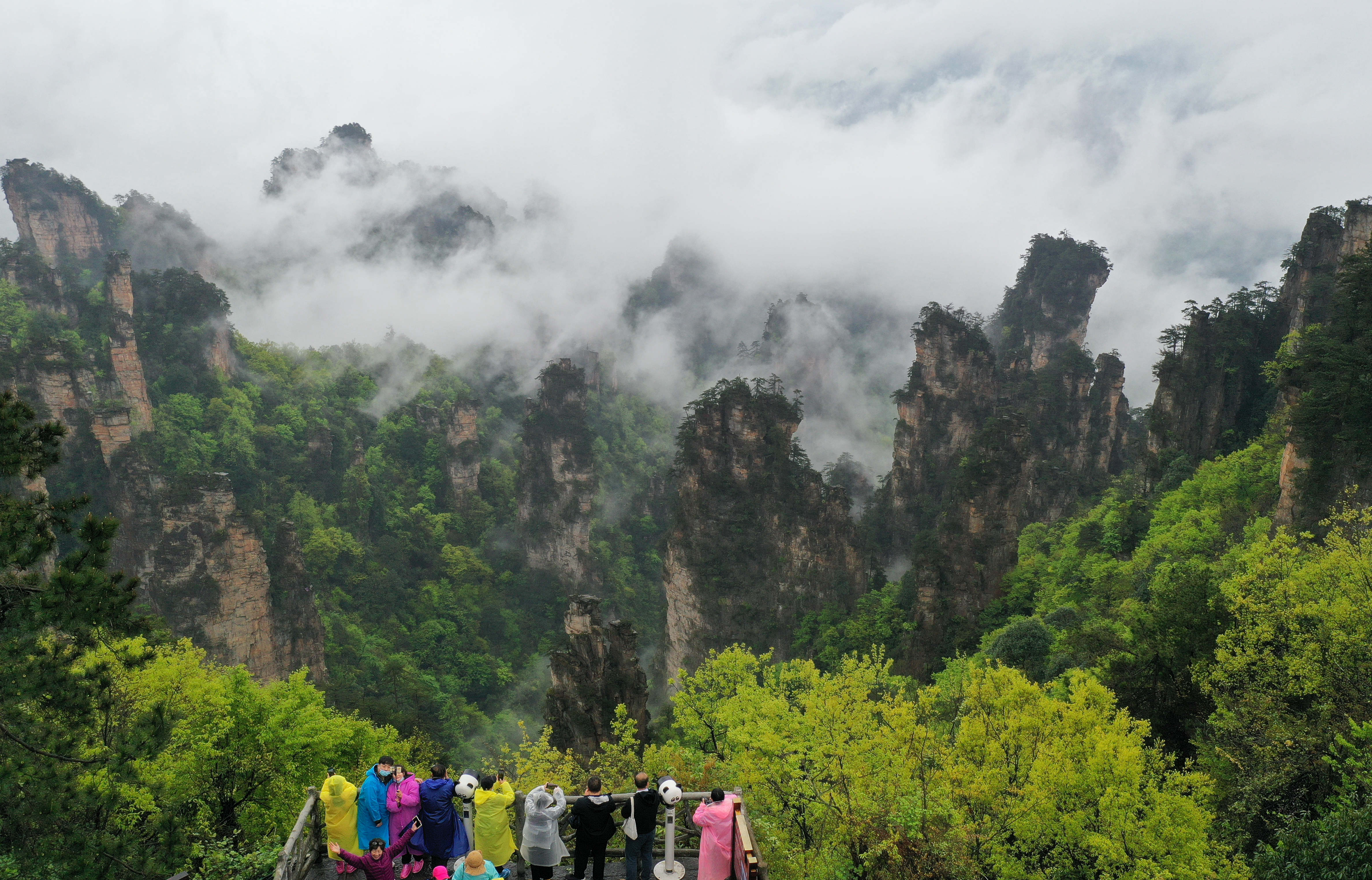 張家界十里畫廊,天子山:雲霧繚繞宛如仙境_吳勇兵