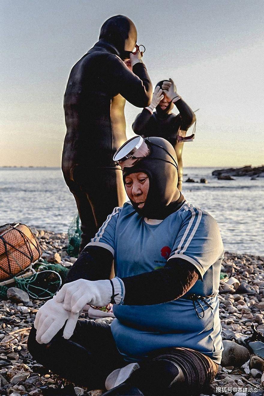 海水变暖海产大减 韩国 海女 或将消失 海洋生物 海水变暖海产大减 韩国 海女 或将消失 海洋生物