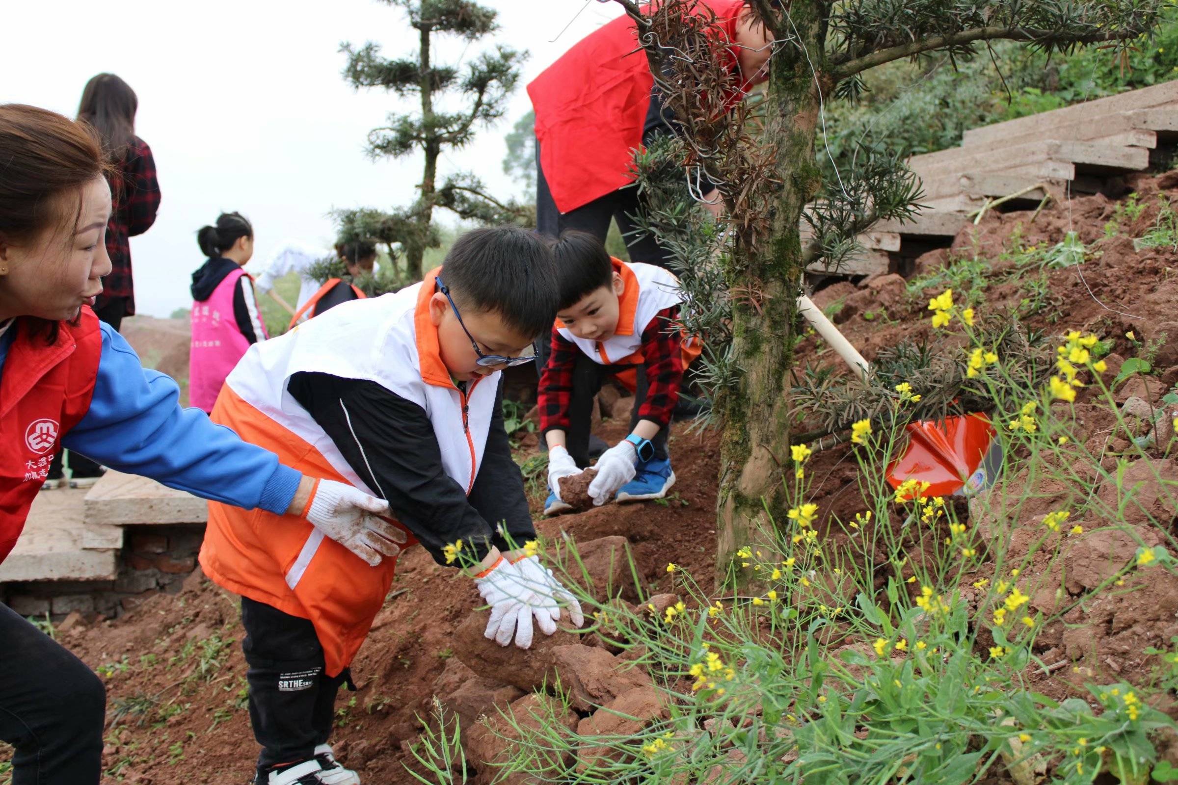 大渡口区跳磴镇石盘村同心共植绿02携手美家园植绿护绿活动