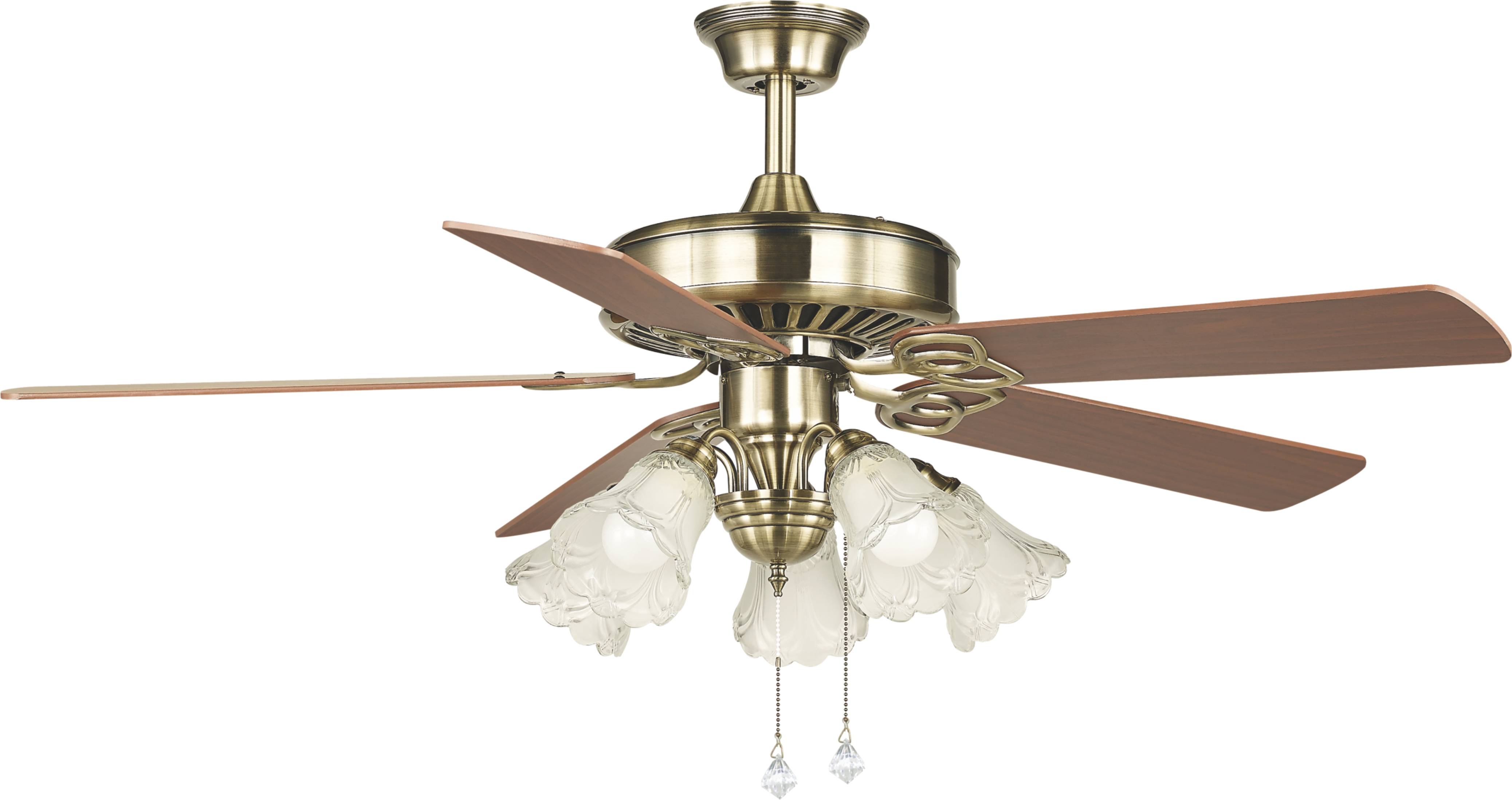 2021年最新款的风扇&风扇灯&充电式风扇_吊扇