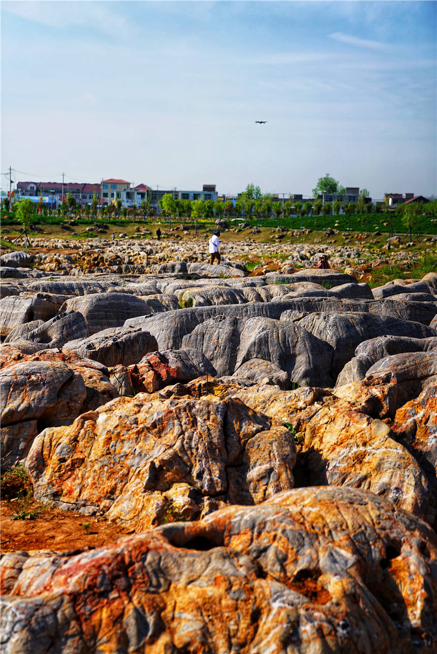 蟠龙山原来名字叫做老山,后来改名,就是因为山上的一块石头,这里风景