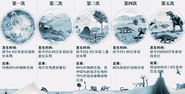 气候变化带来物种灭绝危机,下一个会是人类吗?_考拉