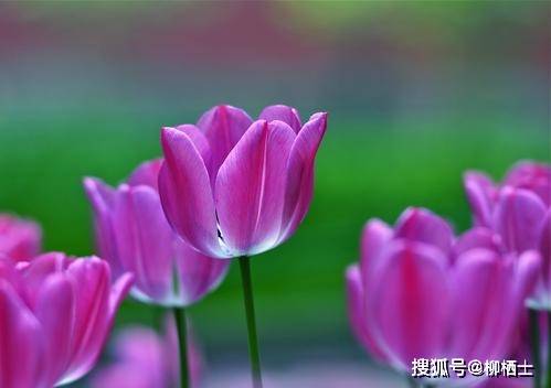 疯狂猜成语牛什么_《疯狂猜成语》所有答案图解攻略