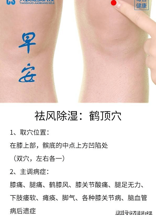 健康养生每一天,祛风除湿鹤顶穴
