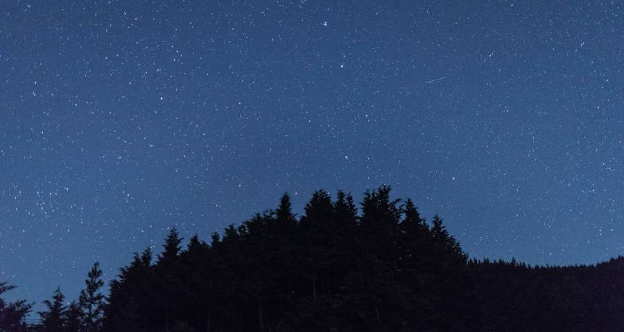 今年家电业五一黄金周的冷与热-家电圈官网