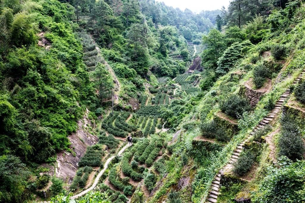 原創巖霸天下武夷山的三天兩夜