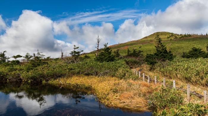 收获史上最高利润的索尼，带给中国家电一些全新思考-家电圈官网