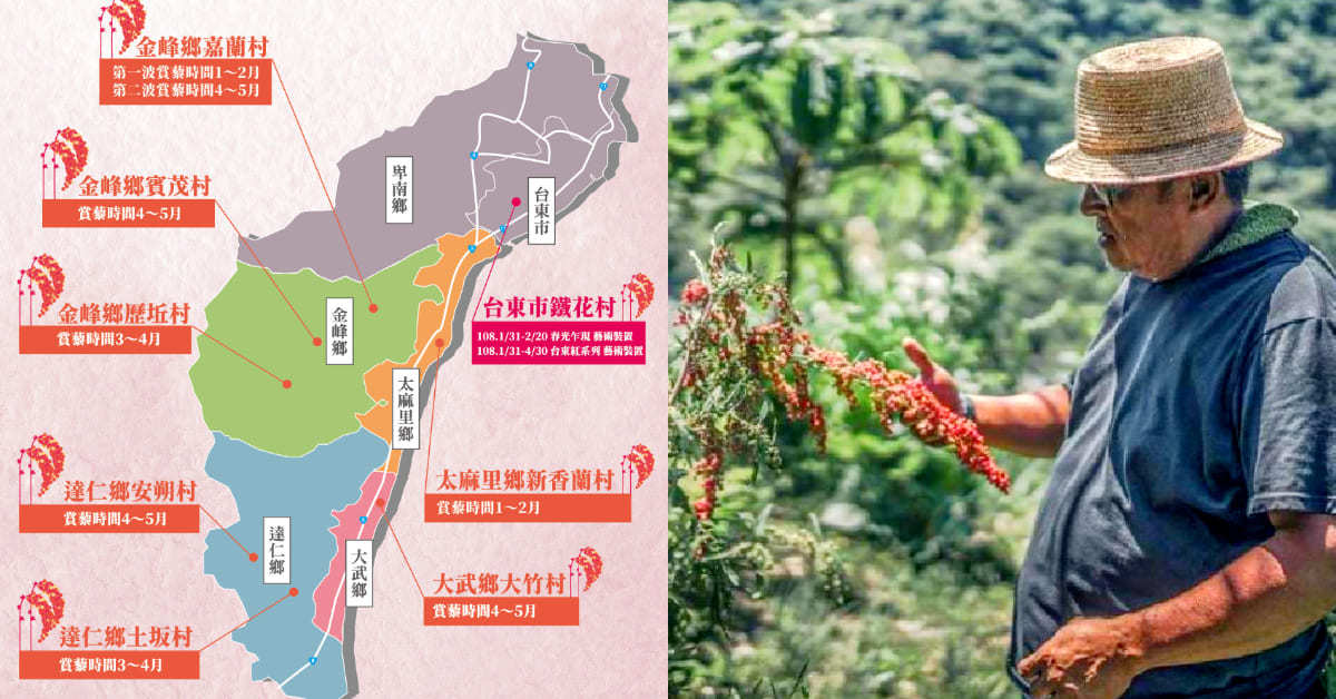 台湾 红宝石级 的21最新景点 原住民部落 红藜花海 变成台东秘境宝藏 金峰乡