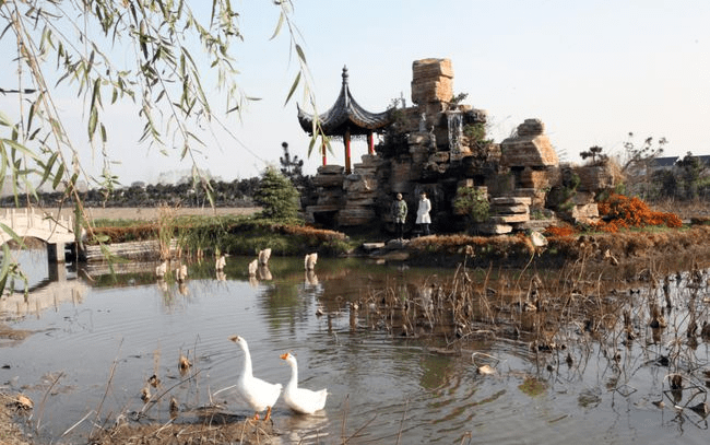 江苏海安西场街道壮志村接受南通市省级乡村旅游重点村遴选评审