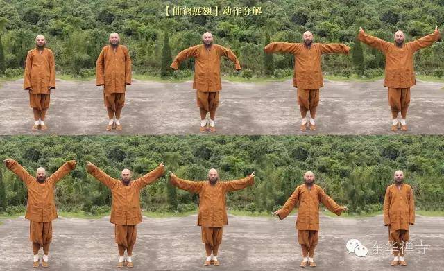 莲花生动功激活生命先天能量