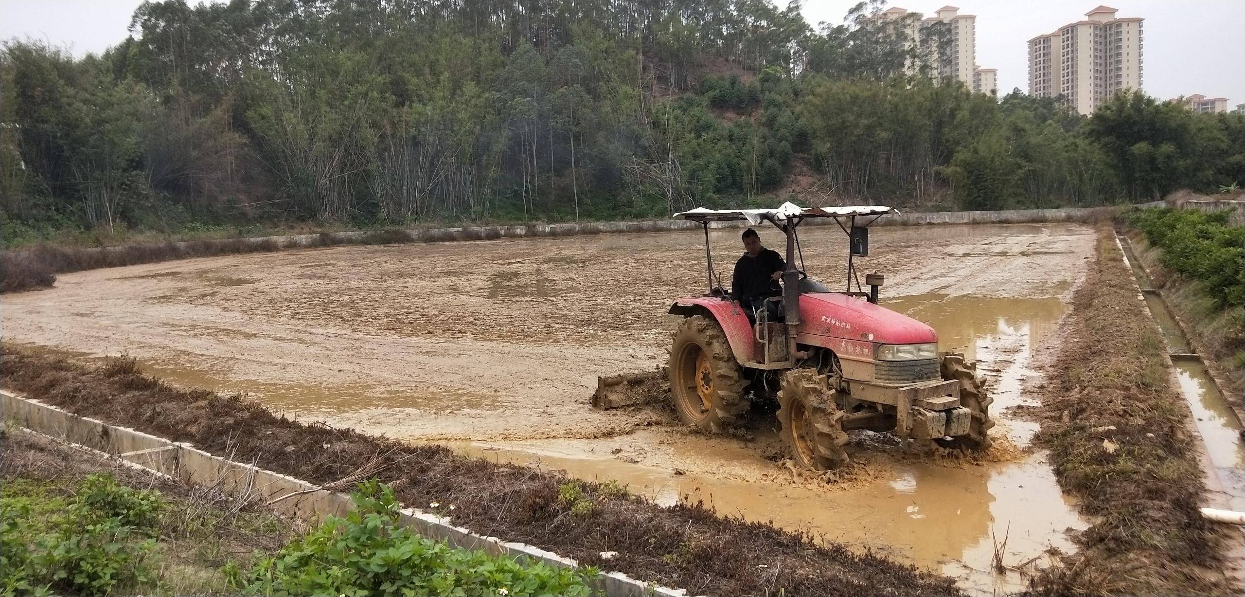 建设美丽乡村——垦造水田篇(264)_耕地