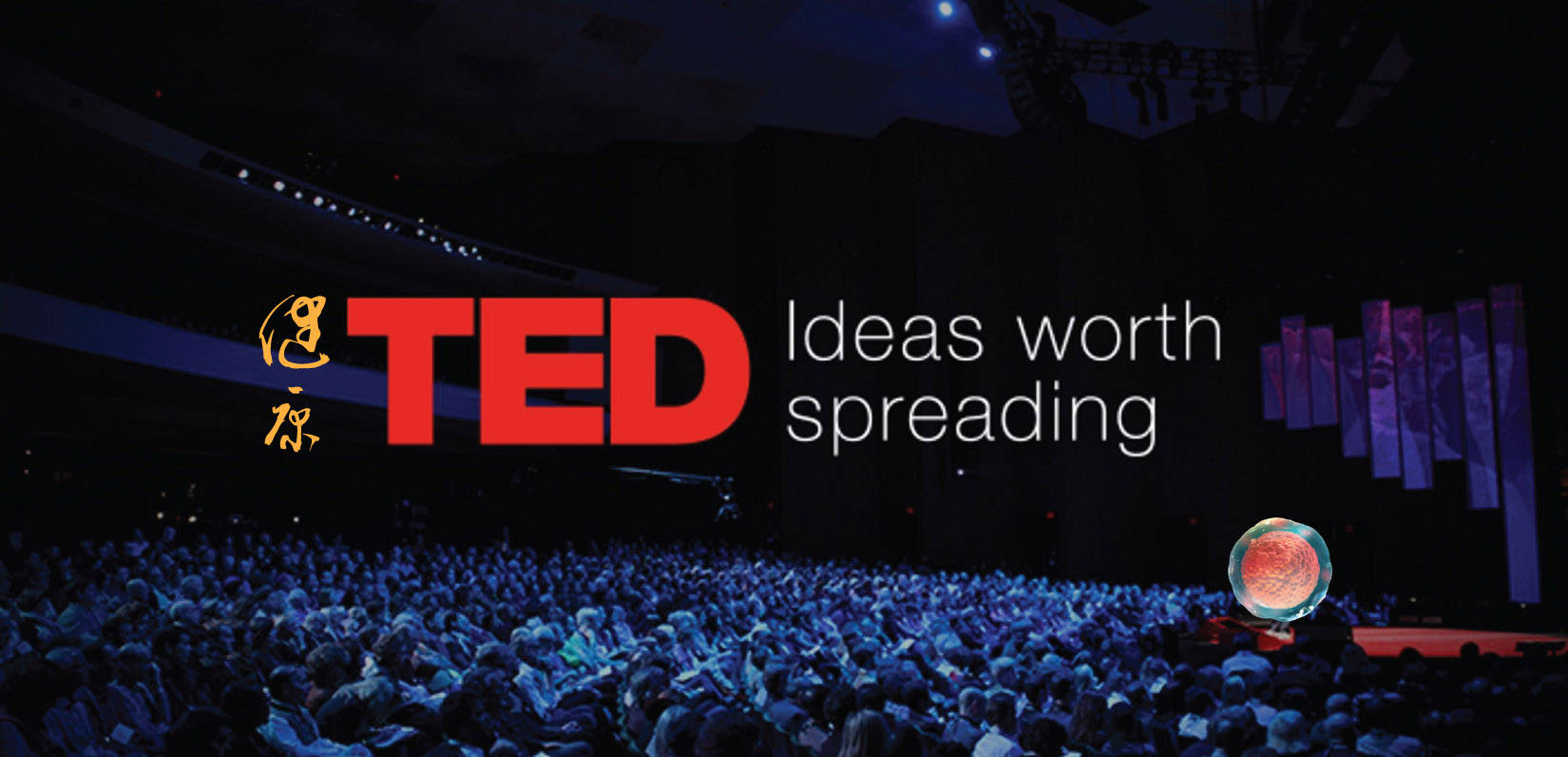 健康ted演讲灵魂三问干细胞