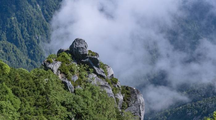 热水器市场加速四分五裂,速热即热等产品想当黑马却很难!-家电圈官网