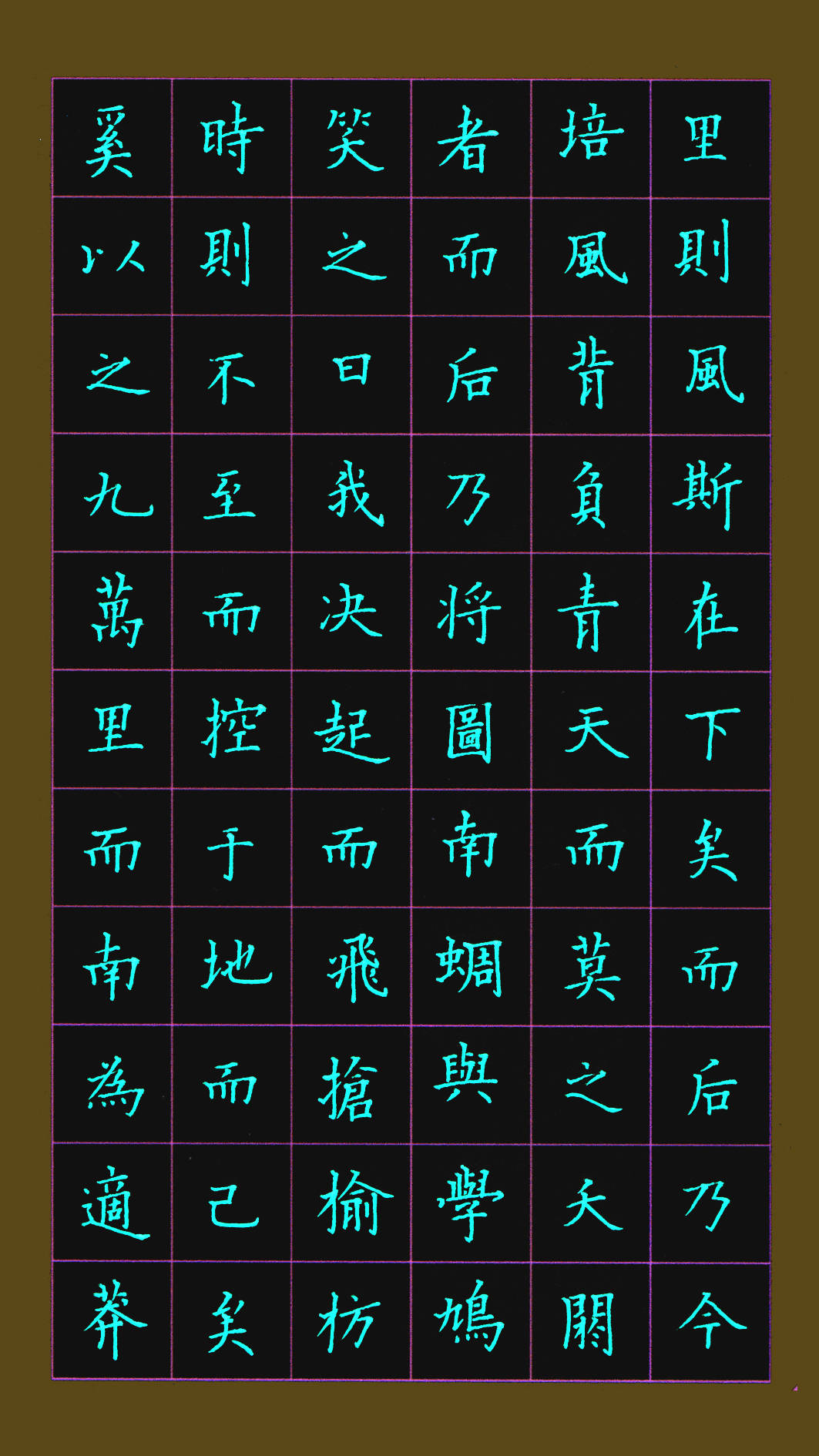 中国硬笔书法名家王朔峰硬笔唐楷习作庄子逍遥游15