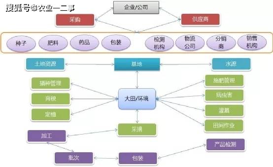 BOB全站农业人泥腿子？农业管理很粗犷？人力资源管理对农业的价值（附小技巧）(图3)