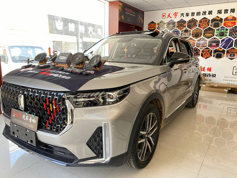 奔腾t99改装器材:处理器:日本歌乐461bt前声场:美国声琅615后声场