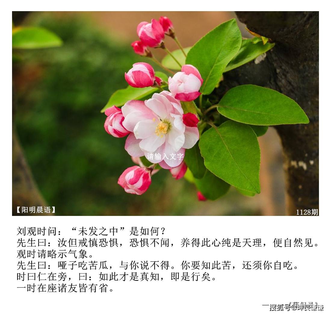阳明晨语1128期